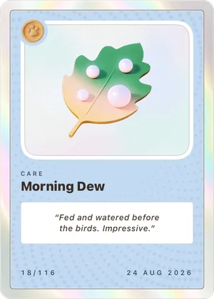 Morning Dew card, a dewy leaf on blue stock