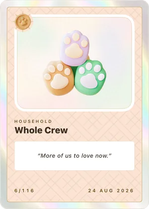 Whole Crew card, three paws on peach stock